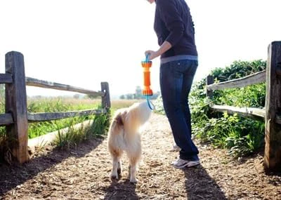 Chuckit! Rugged Bumper Dog Toy - Durable Fetch Stick with TPR Ridges for Easy Grip - Tug-of-War Toy for Medium and Large Dogs - Floats in Water - Image 2