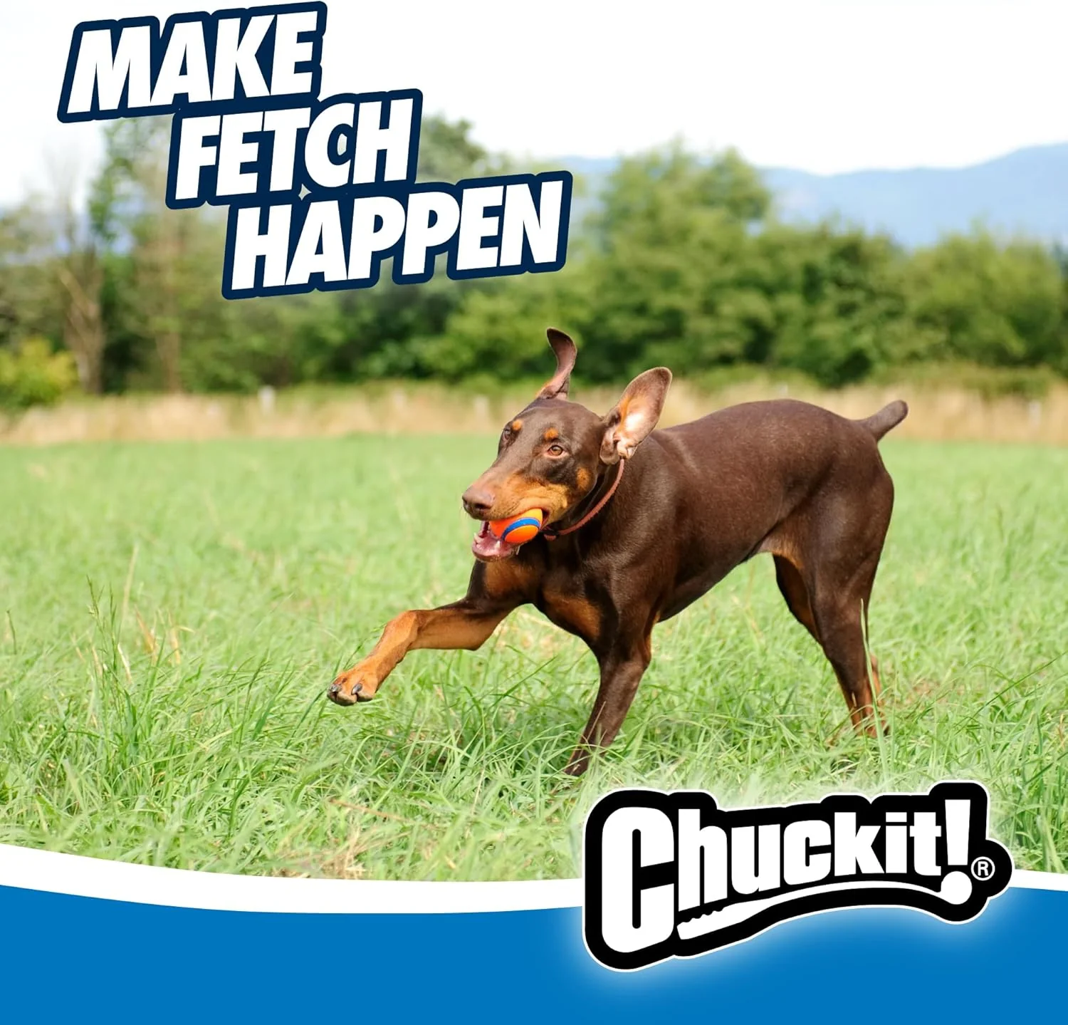 Chuckit! Ultra Ball Dog Toy - For Dogs 60-100 lbs - Made from Durable Rubber - Super Bouncy - Floats in Water - 3-inch Diameter - Pack of 1 - Image 7