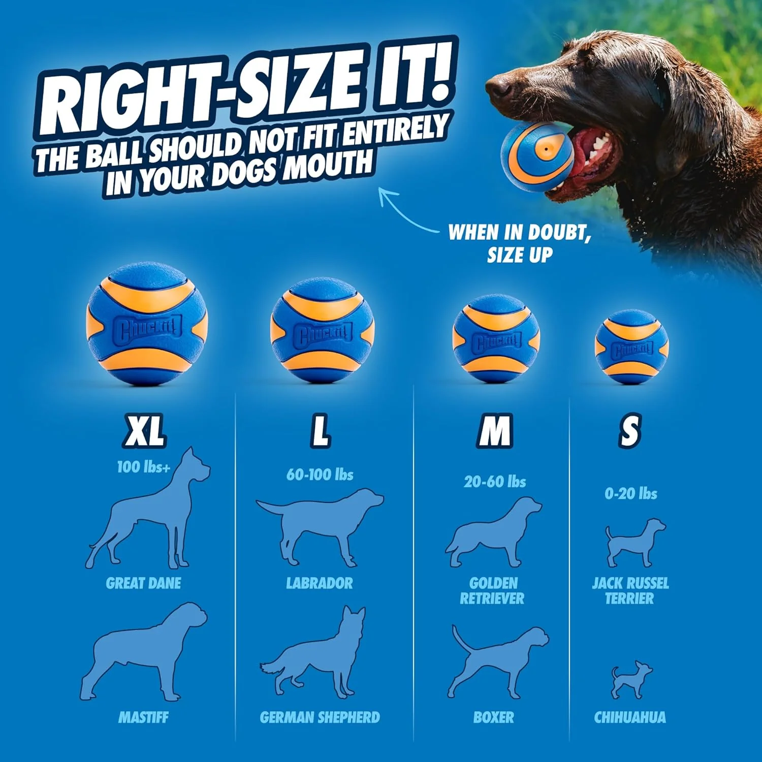 Chuckit! Ultra Squeaker Balls for Dogs, Floating Water Pet Toys, Durable Rubber Pet Toy, Bouncy Squeaky Fetch Balls For Dogs, Pack of 2 - Image 4