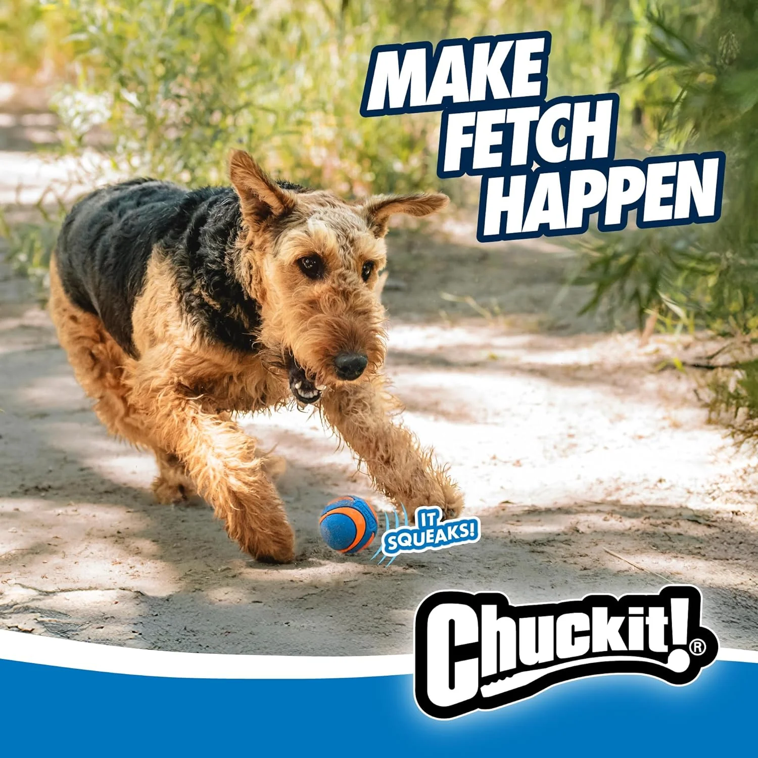 Chuckit! Ultra Squeaker Balls for Dogs, Floating Water Pet Toys, Durable Rubber Pet Toy, Bouncy Squeaky Fetch Balls For Dogs, Pack of 2 - Image 7