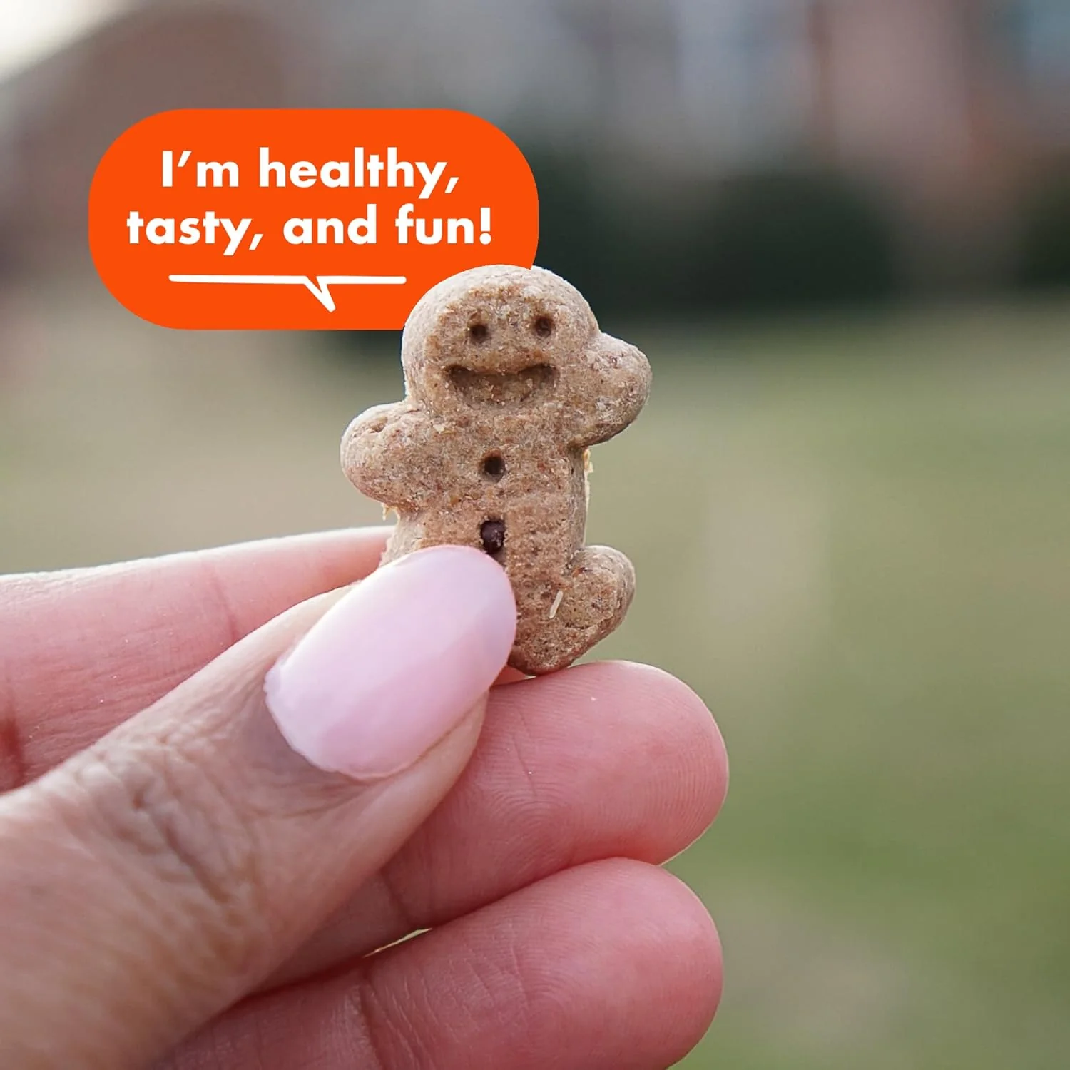 Cloud Star Soft & Chewy Buddy Biscuits - Peanut Butter Flavor - Image 4