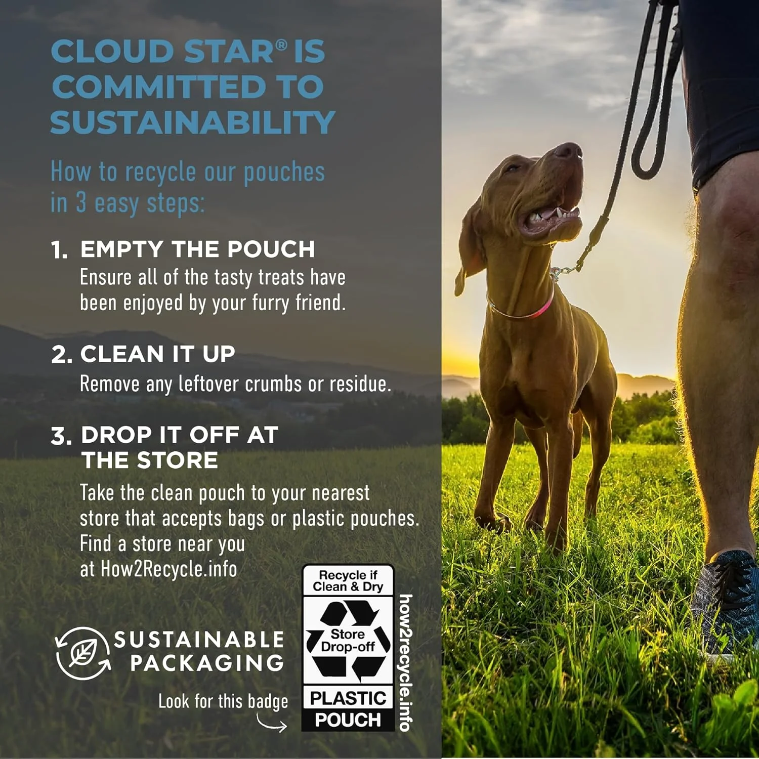 Cloud Star Tricky Trainers Soft & Chewy Dog Training Treats, Salmon Flavor, Low Calorie Behavior Aid with 130 treats - Image 6