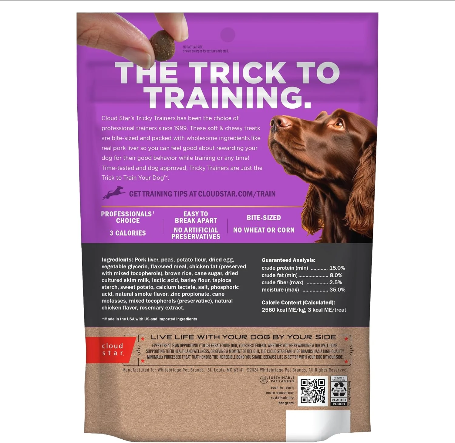 Cloud Star Tricky Trainers Chewy Dog Treats – Whole Grain Soft for Adult & Puppy - Image 2