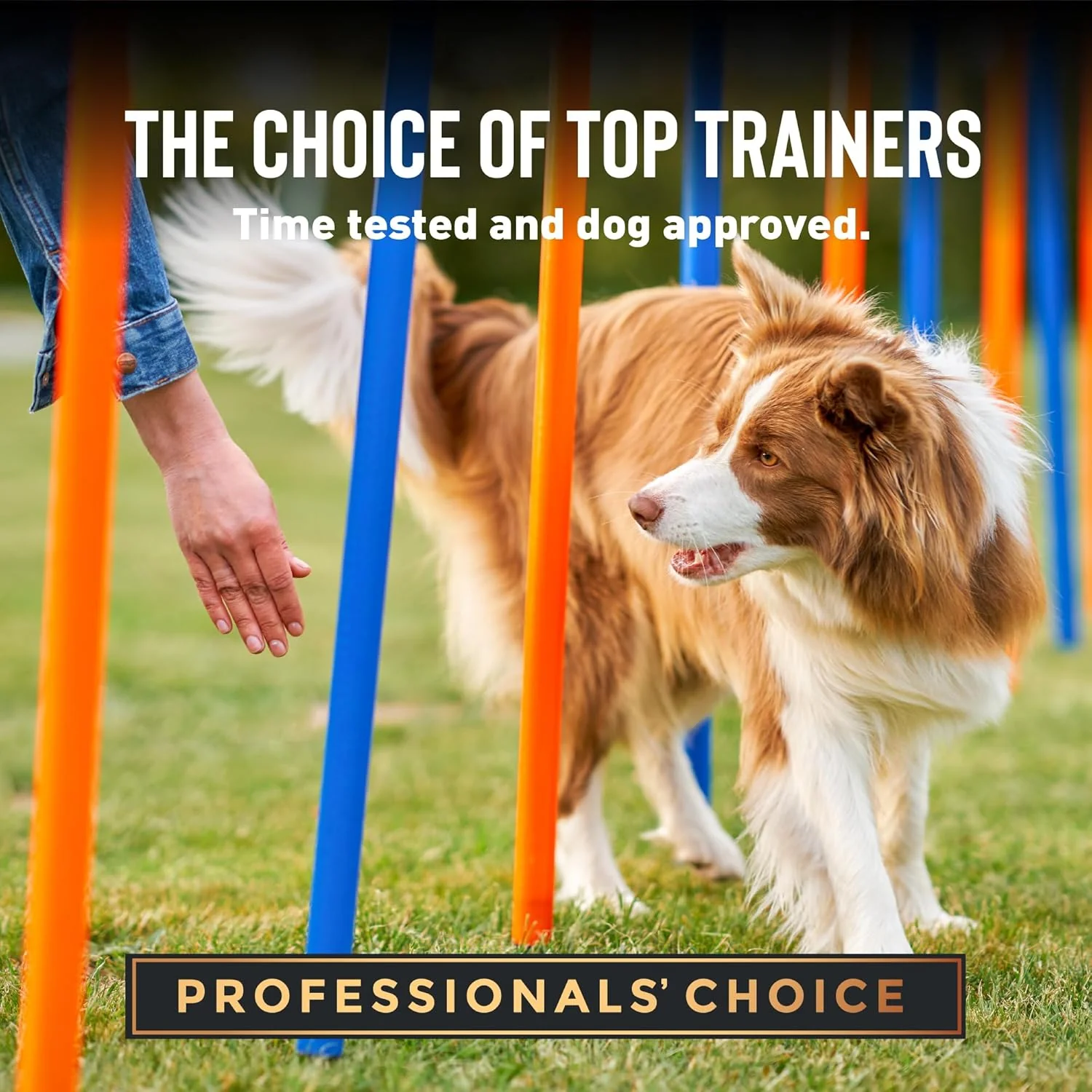 Cloud Star Tricky Trainers Soft & Chewy Dog Training Treats, Peanut Butter Flavor, Grain-Free Low Calorie Behavior Aid with 130 treats - Image 5