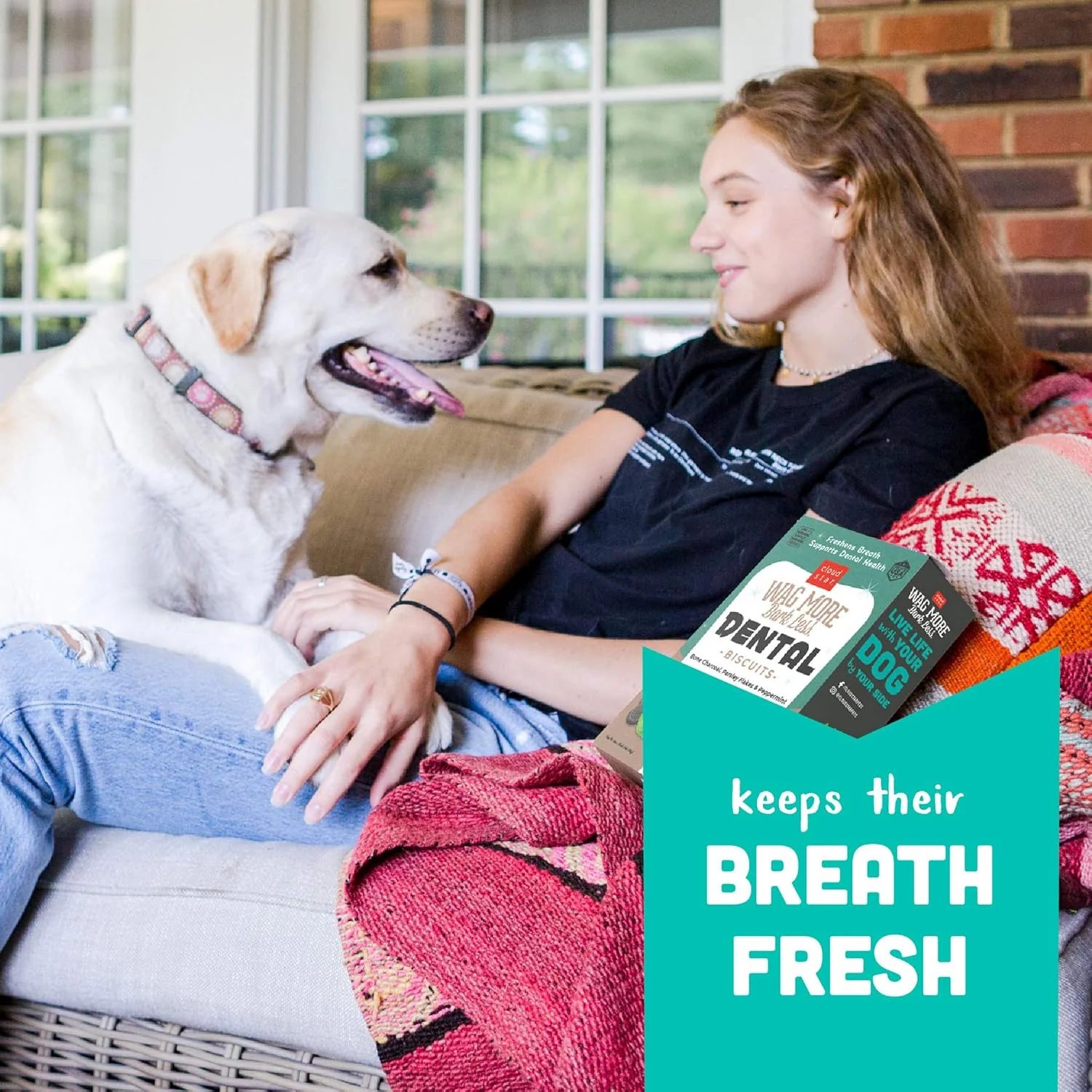 Cloud Star Wag More Bark Less Crunchy Dental Dog Treats, Chicken, Bone Charcoal, Parsley & Mint - Image 7