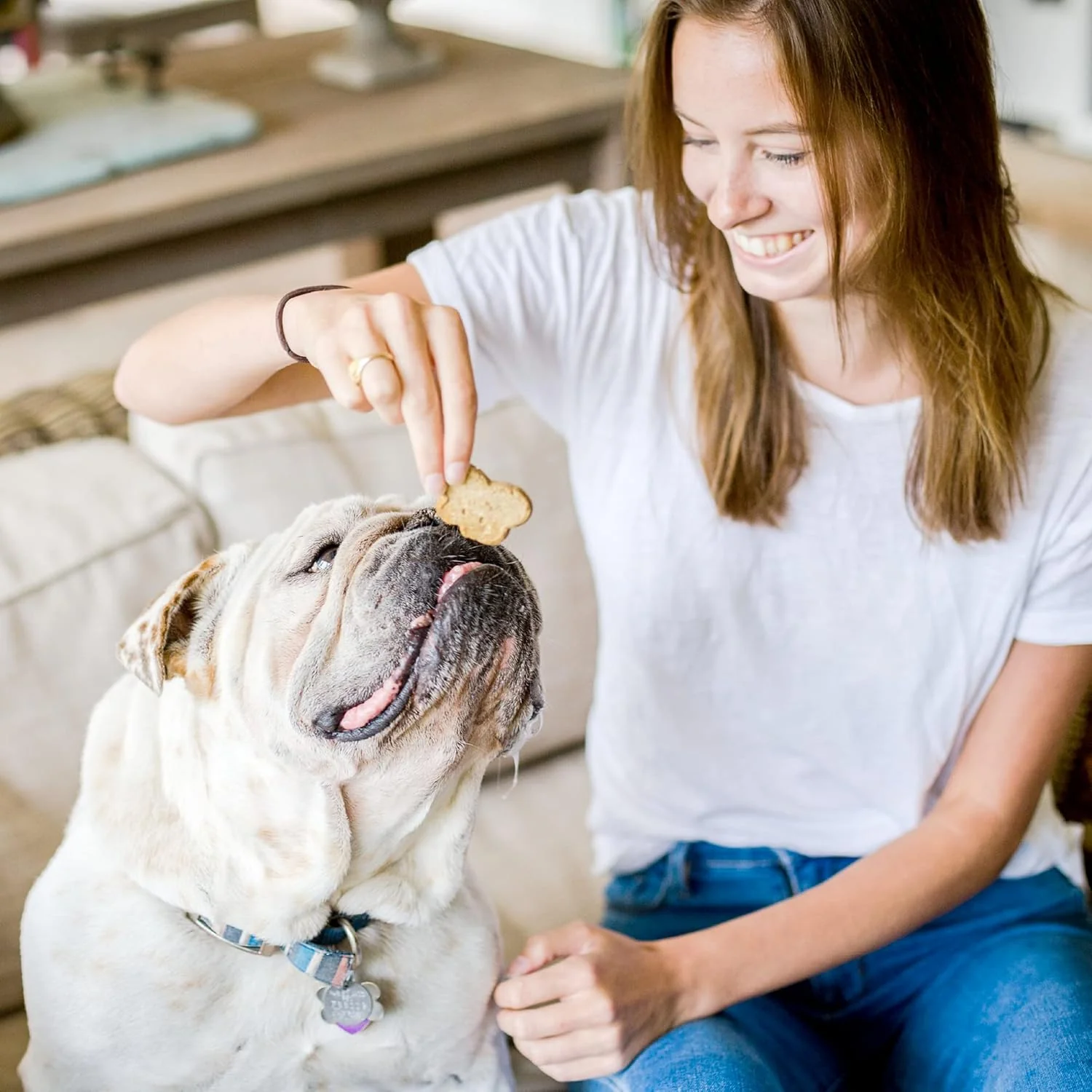 Cloud Star Wag More Bark Less Crunchy Grain Free Dog Treats, Assorted Flavors - Image 8
