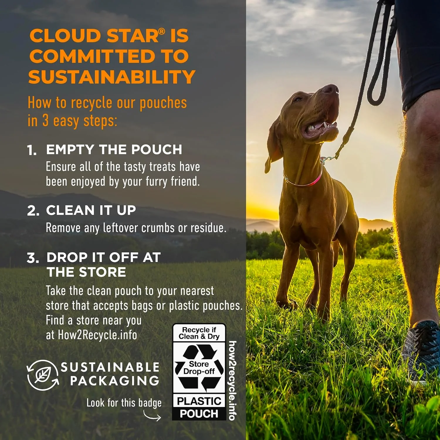 Cloud Star Wag More Bark Less Grain Free Meatball Bites, BBQ Chicken Recipe - Image 6