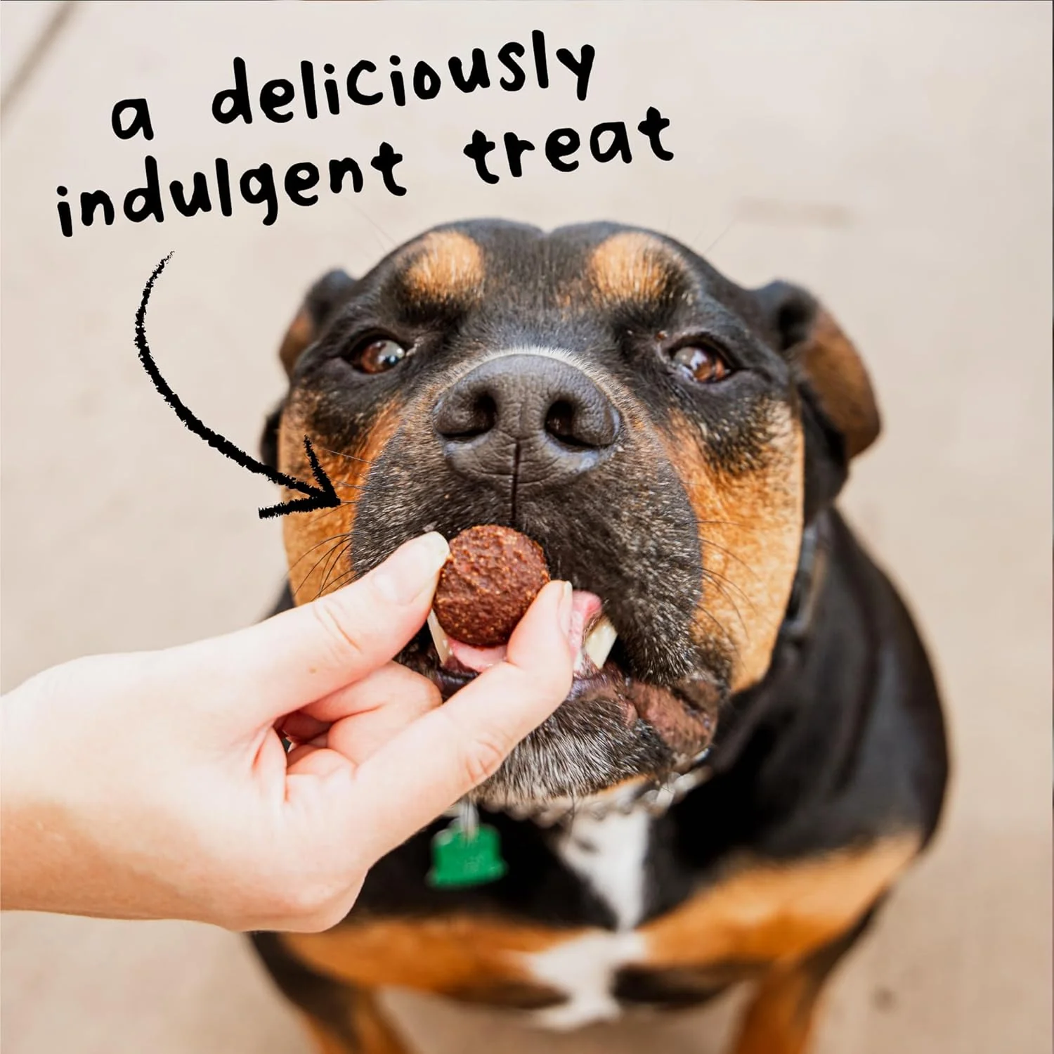 Cloud Star Wag More Bark Less Grain Free Meatballs Lamb Recipe - Image 6