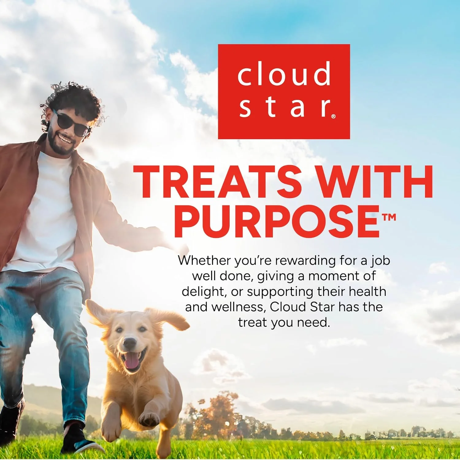 Cloud Star Wag More Bark Less Grain Free Meatballs Lamb Recipe - Image 9