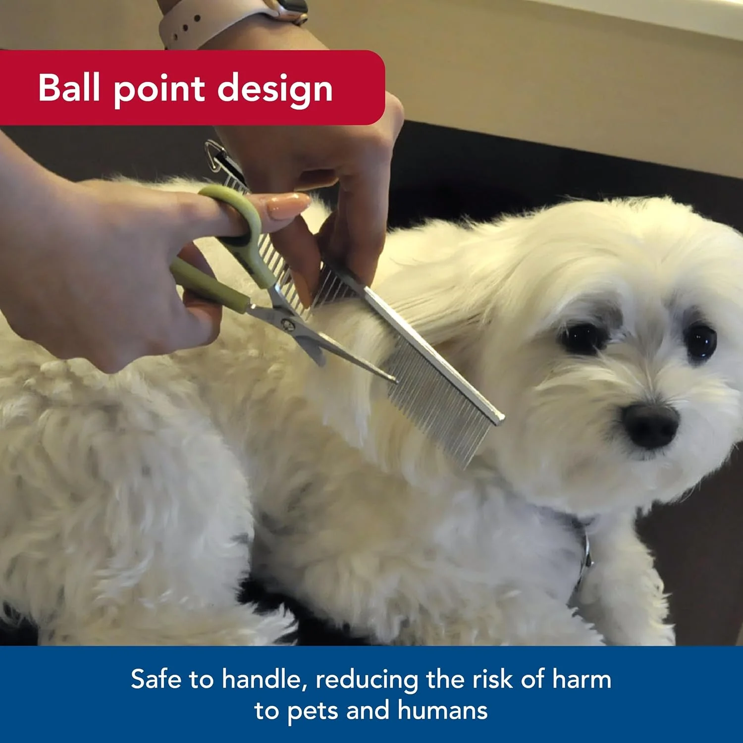 Coastal Pet Safari Dog Safety Scissors for Trimming Hair Around Eyes, Ears & Paws of All Dog Breeds - Image 3