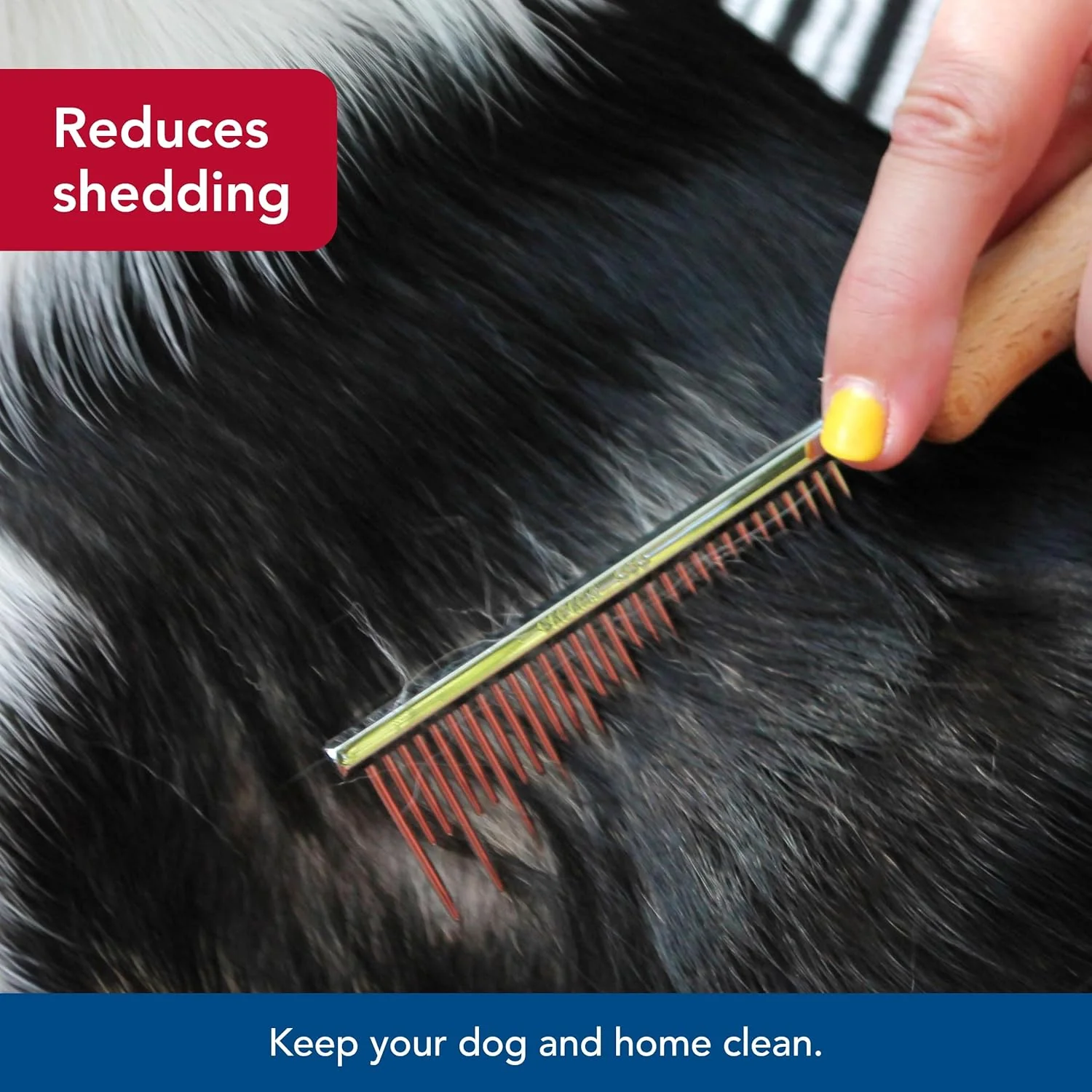 Coastal Pet Safari Dog Shedding Combs - Dog Shedding Brush for Dogs with Short and Long Hair - Different Sized Teeth for Undercoat Rake - Image 6