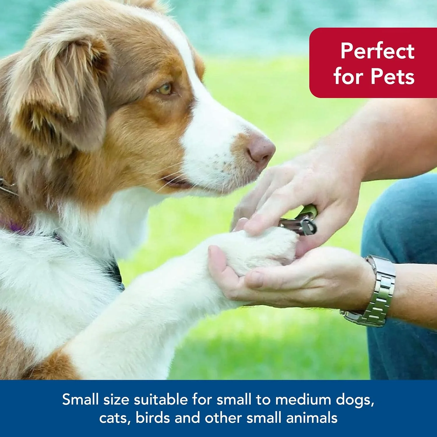 Coastal Pet - Safari Guillotine Dog Nail Trimmer - Double-Bladed Guillotine Style Dog Nail Trimmers - Owner-Friendly Vinyl Grip - for Small to Medium Dogs - Image 6