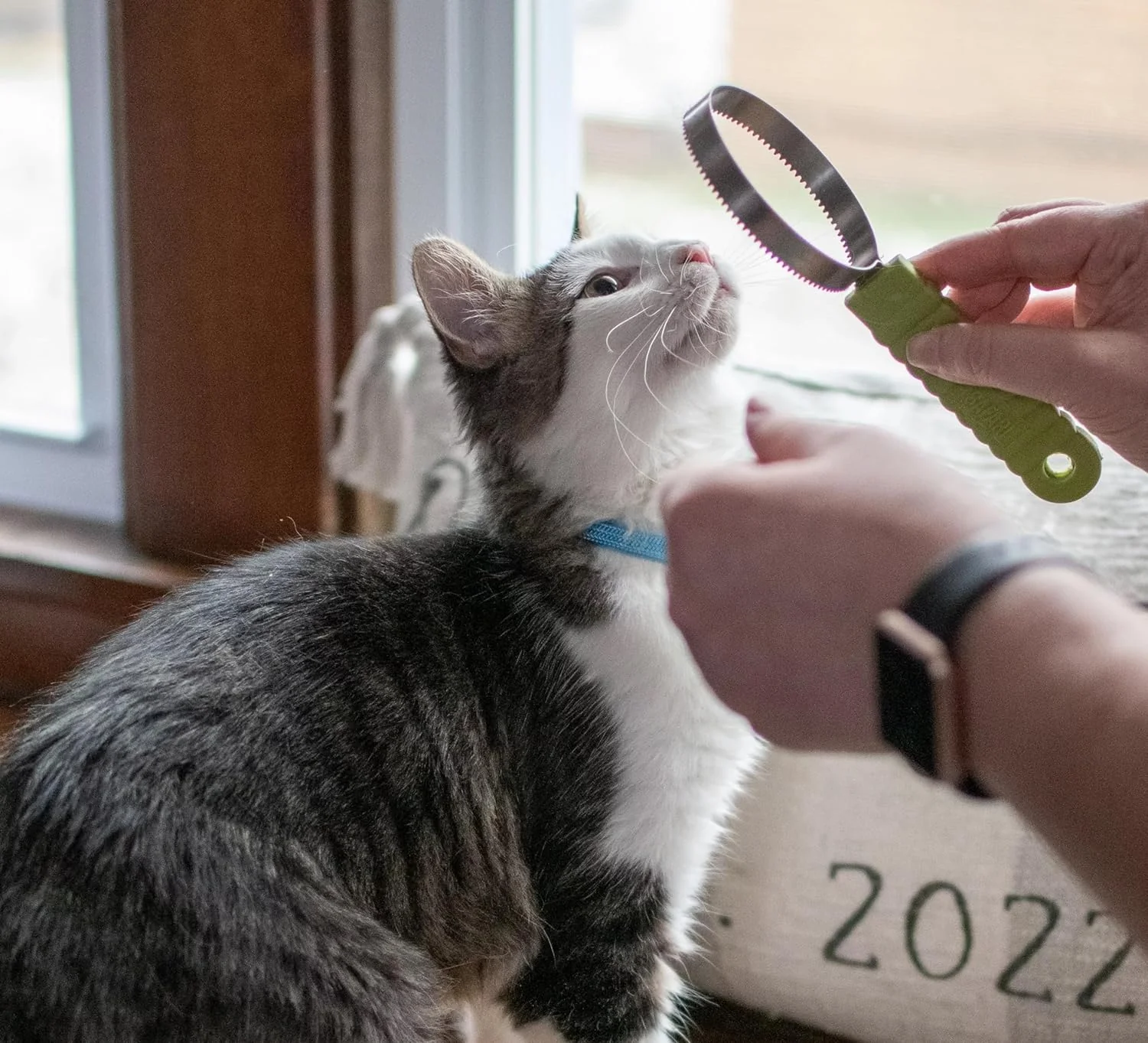 Coastal Pet Stainless Steel Safari Cat Shedding Blade - Cat Hair Removal Brush - Pet Grooming Tool to Prevent Hairballs - Image 4
