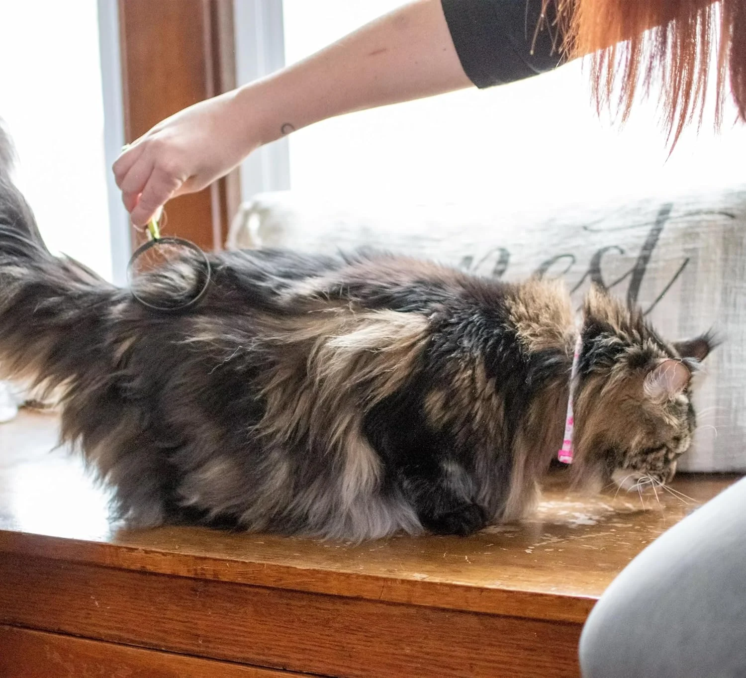 Coastal Pet Stainless Steel Safari Cat Shedding Blade - Cat Hair Removal Brush - Pet Grooming Tool to Prevent Hairballs - Image 5