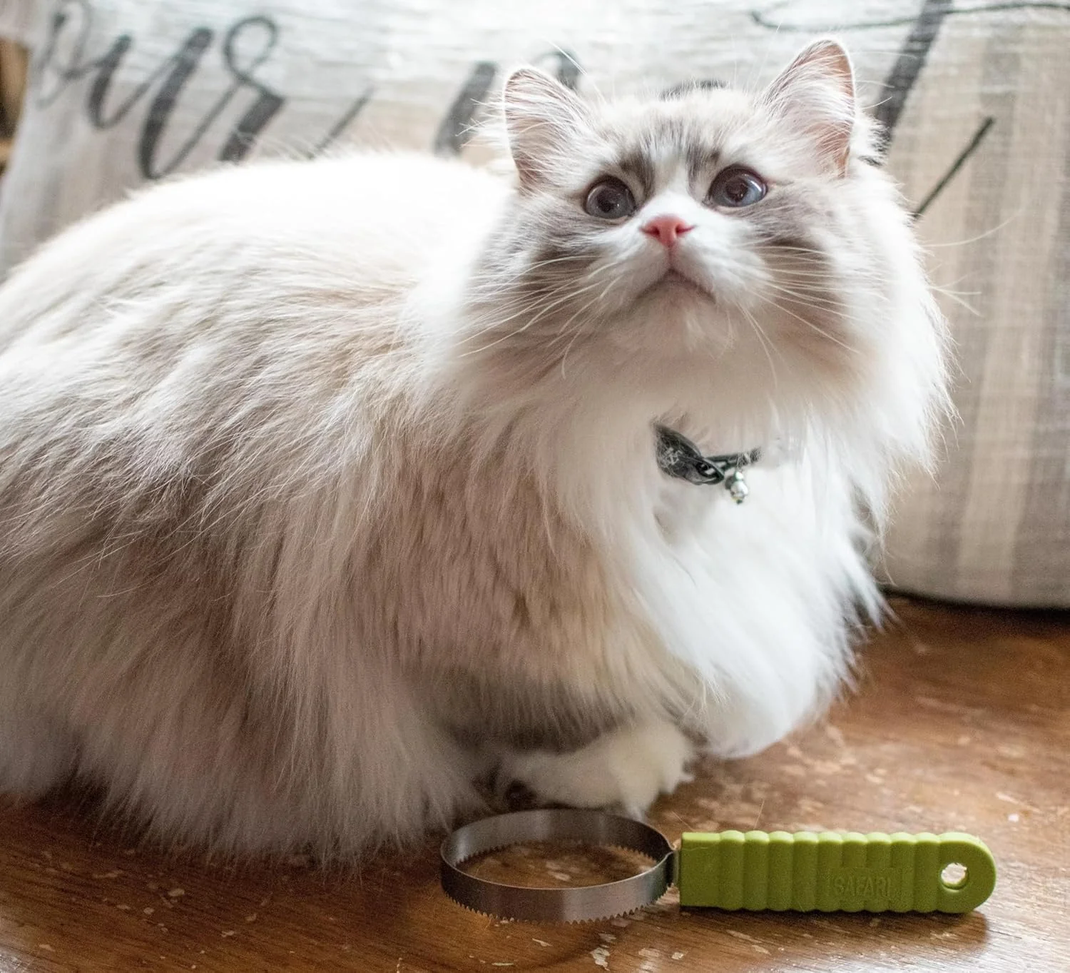 Coastal Pet Stainless Steel Safari Cat Shedding Blade - Cat Hair Removal Brush - Pet Grooming Tool to Prevent Hairballs - Image 6