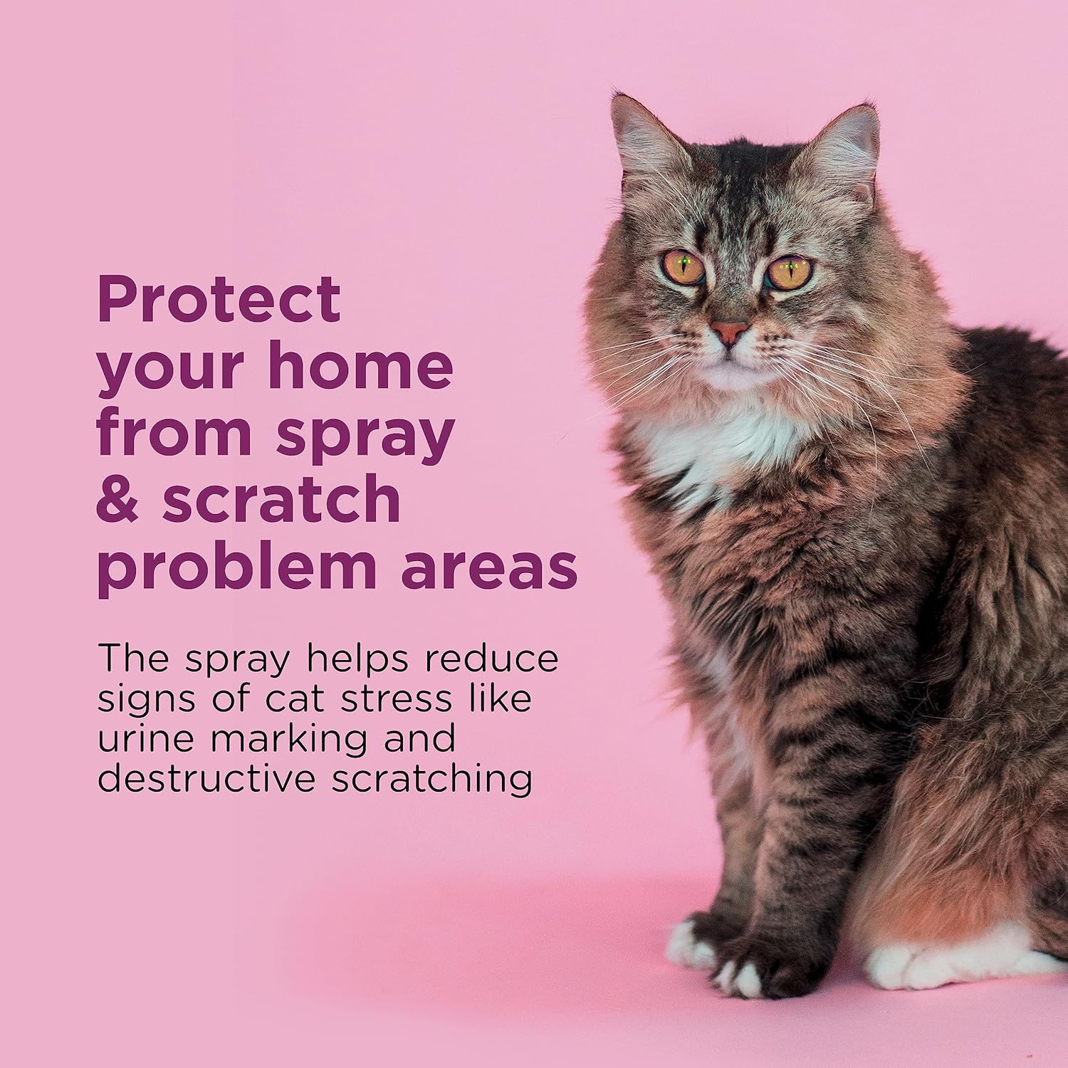 Comfort Zone Cat Calming Pheromone Spray: Travel Size (2 oz); Proven to Reduce Destructive Scratching, Urine Marking, and Stress - Image 2