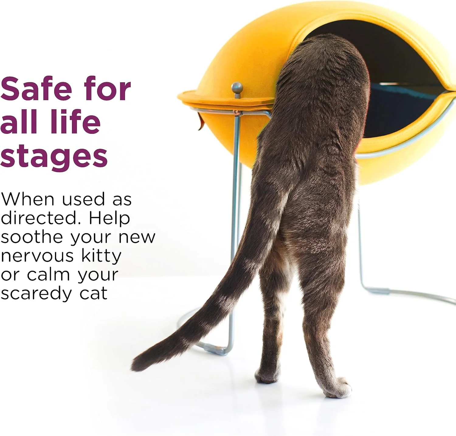Comfort Zone Cat Calming Pheromone Spray: Travel Size (2 oz); Proven to Reduce Destructive Scratching, Urine Marking, and Stress - Image 5