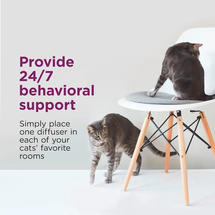 Comfort Zone Single & Multi-Cat Calming Diffuser Refills for A Soothing Home, 192 ml, Pack of 4 - Image 2
