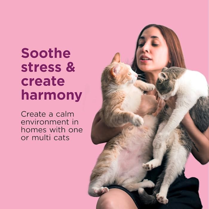 Comfort Zone Single & Multi-Cat Calming Refills for a Soothing Home 96ml Pack of 2 - Image 3