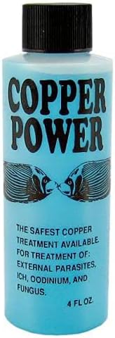 Copper Power (Endich) Blue Treatment for Marine Fish - Image 5