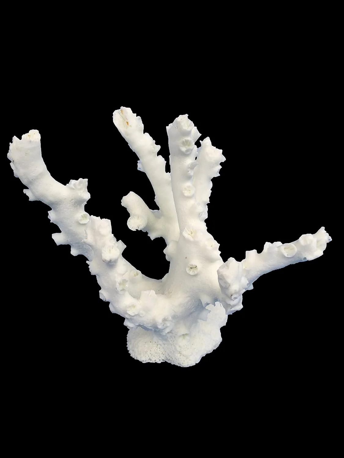 Coral Replica Octopus Coral - Sm