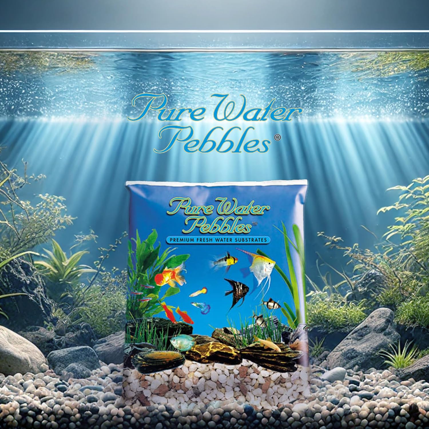 Cumberland River Aquarium Gravel - Non-Toxic, Colorfast, Vibrant Substrate for Aquariums, Terrariums, Ponds & Crafts - Image 4
