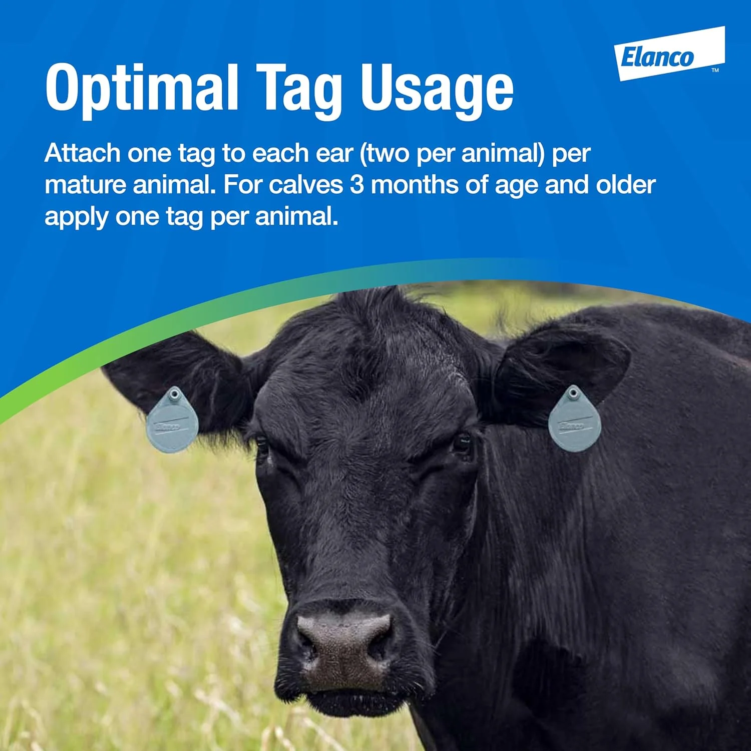 CyLence Ultra® Insecticide Cattle 20 Ear Tags - Image 5
