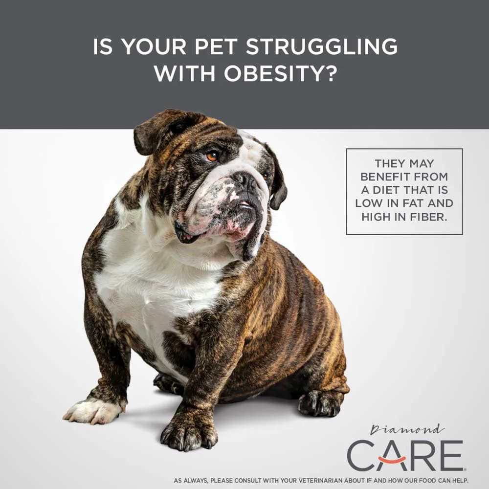 Diamond CARE Specialized Grain-Free Formulation Adult Dry Dog Food to Support Healthy Weight Management Made Lamb Protein, Probiotics and High Fiber to Aid in Weight Control - Image 6