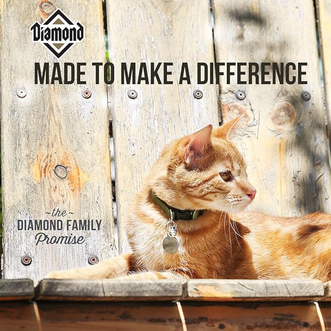 Diamond Maintenance Dry Cat Food - Image 5