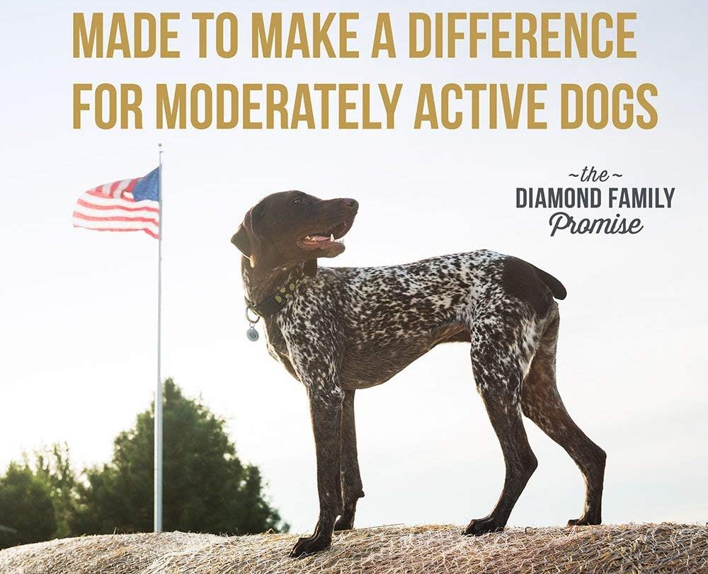 Diamond PREMIUM RECIPE Maintenance Complete and Balanced Dry Dog Food for a Moderately Active Dog, - Image 2