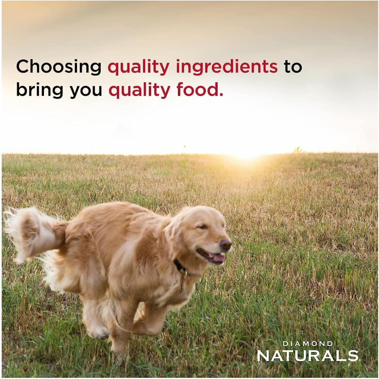 Diamond Naturals Extreme Athlete High Protein Real Meat Recipe Dry Dog Food 40 Pound (Pack of 1) - Image 5