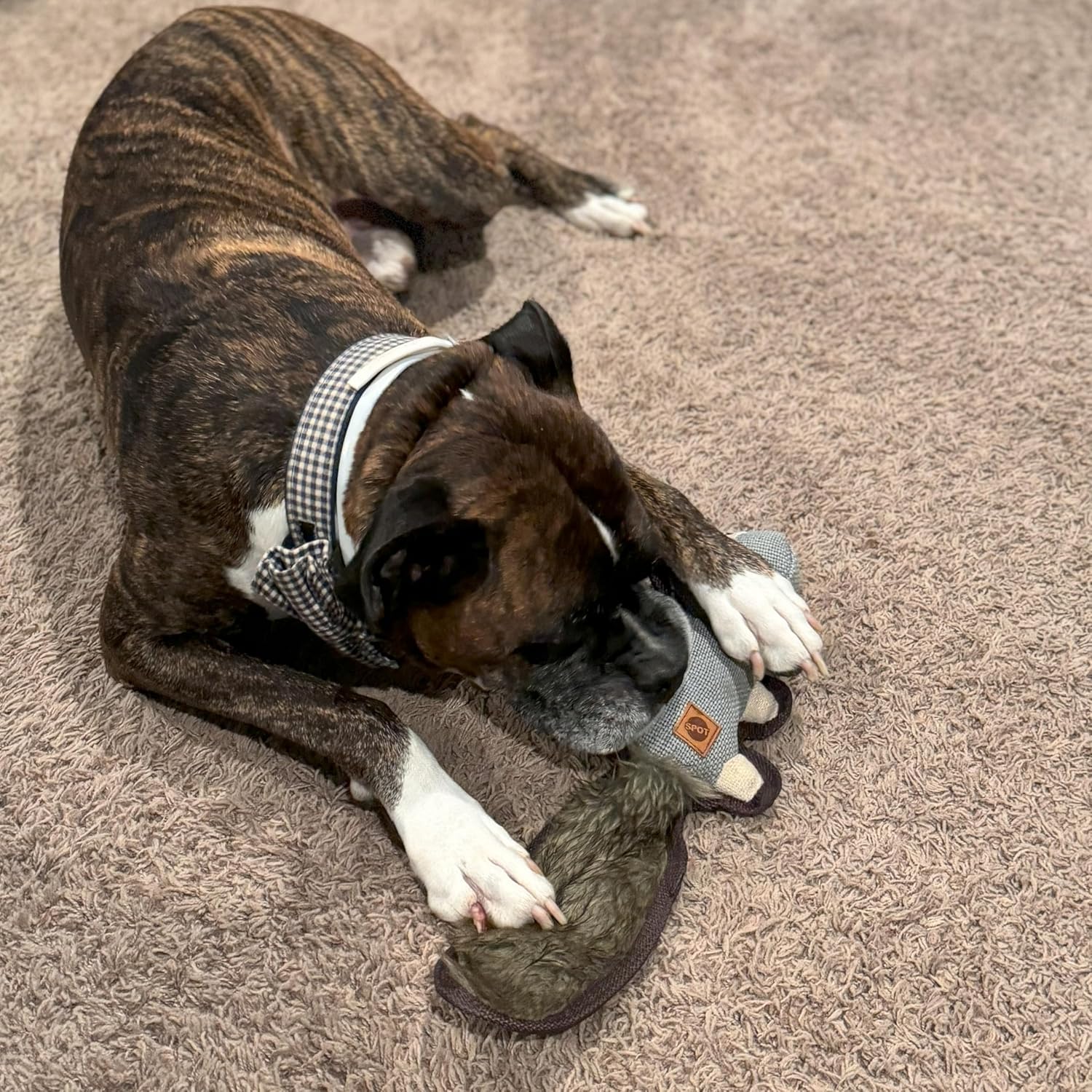 SPOT Dura-Fused Hemp Friends - Dog Toy Made with Hemp Material, Fused with Tricot for Durablity, with Furry Plush Tail and Squeaker, Great for Light to Moderate Chewers - 18" Assorted Styles - Image 4