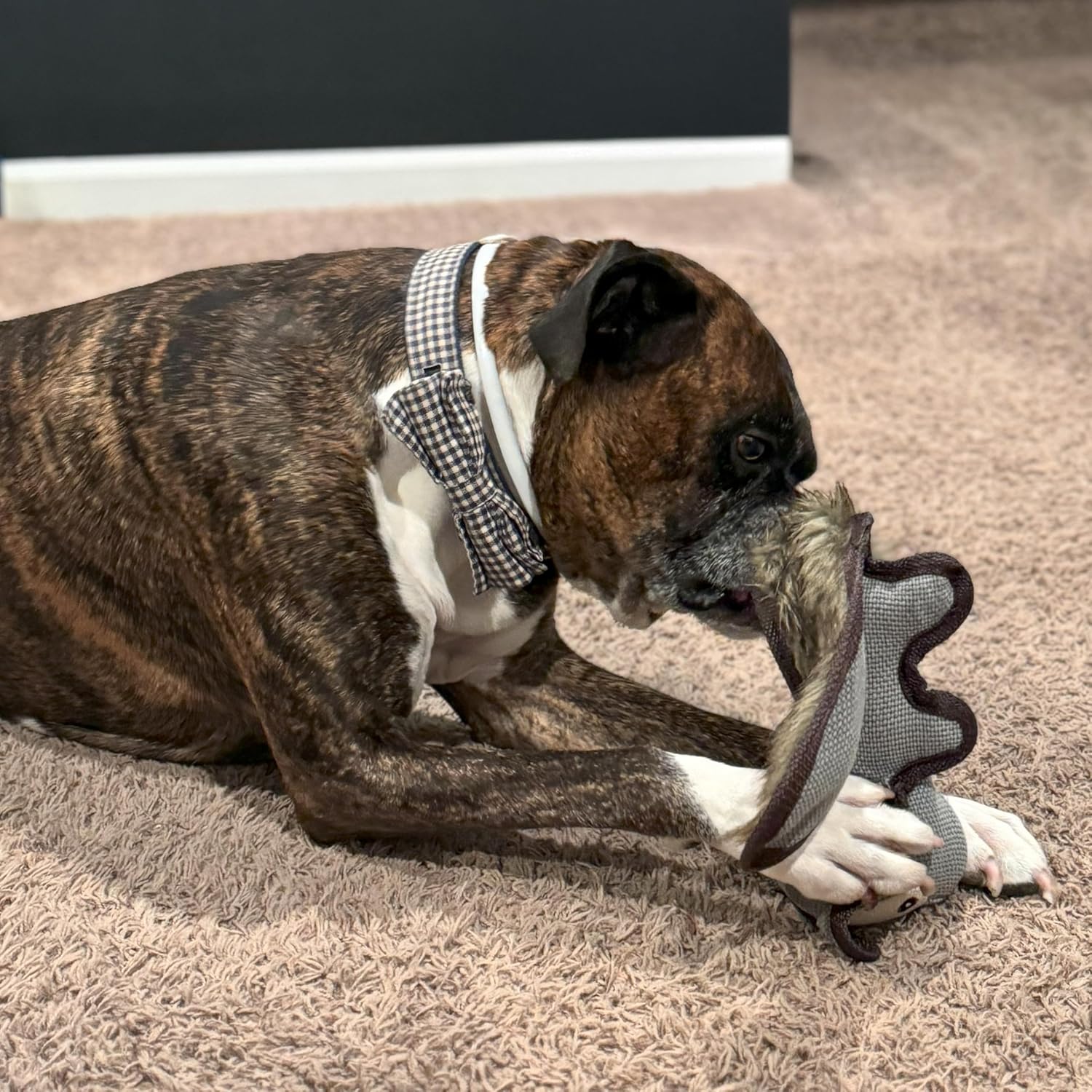 SPOT Dura-Fused Hemp Friends - Dog Toy Made with Hemp Material, Fused with Tricot for Durablity, with Furry Plush Tail and Squeaker, Great for Light to Moderate Chewers - 18" Assorted Styles - Image 5