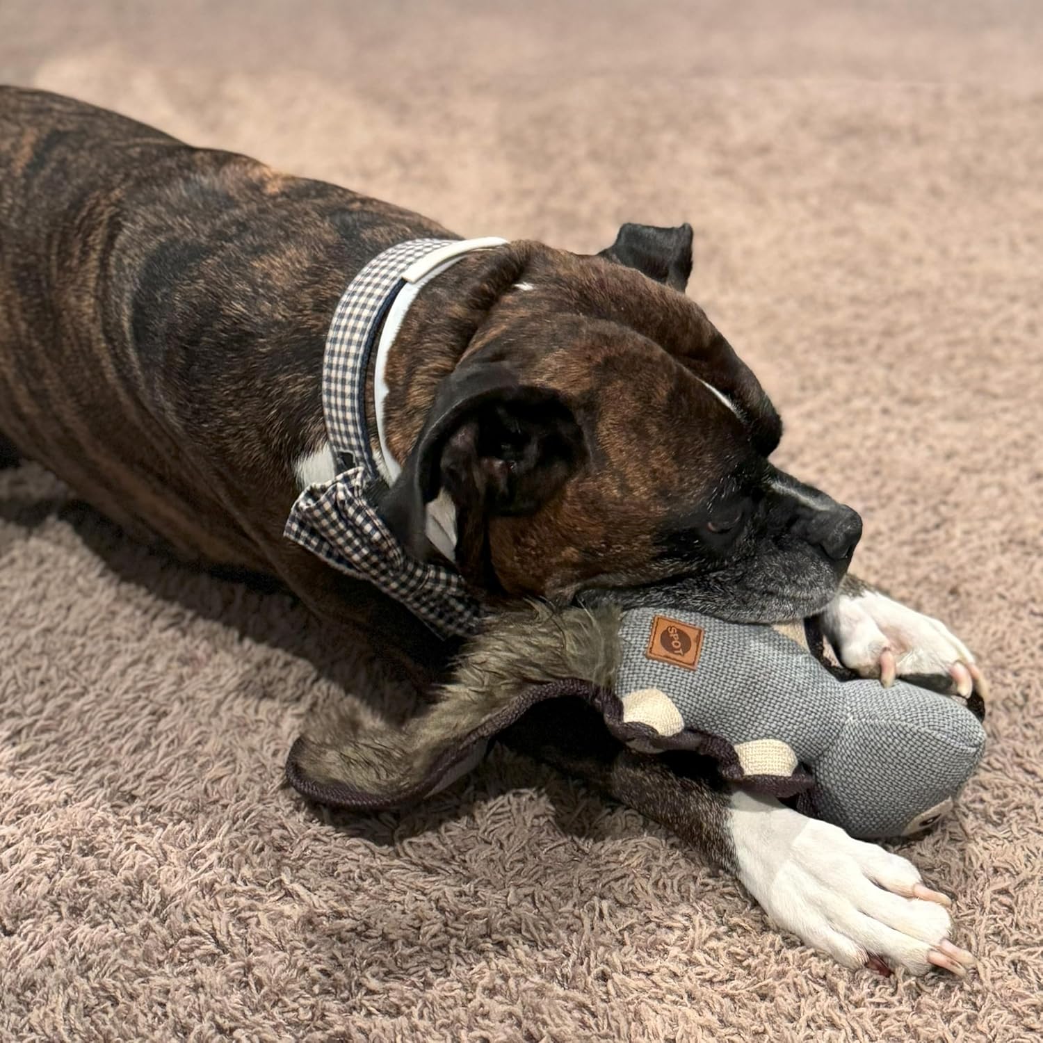 SPOT Dura-Fused Hemp Friends - Dog Toy Made with Hemp Material, Fused with Tricot for Durablity, with Furry Plush Tail and Squeaker, Great for Light to Moderate Chewers - 18" Assorted Styles - Image 8
