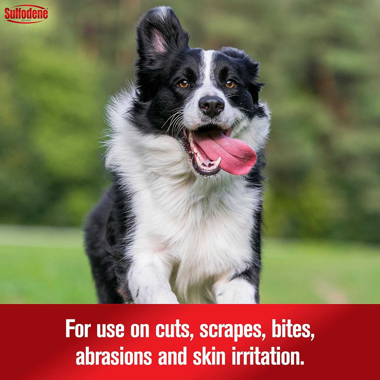 Dog Wound Care 3-Way Ointment, Relieves Pain & Prevents Infection For Dog Cuts, Scrapes, Bites and Injuries, 2 Ounce) - Image 6