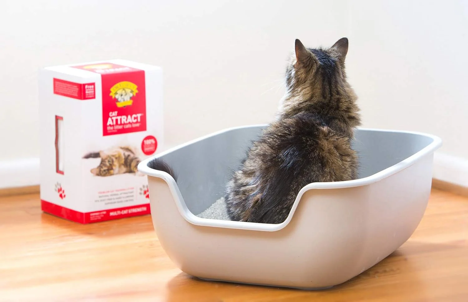 Dr. Elsey's Precious Cat Attract Problem Cat Training Litter - Image 4