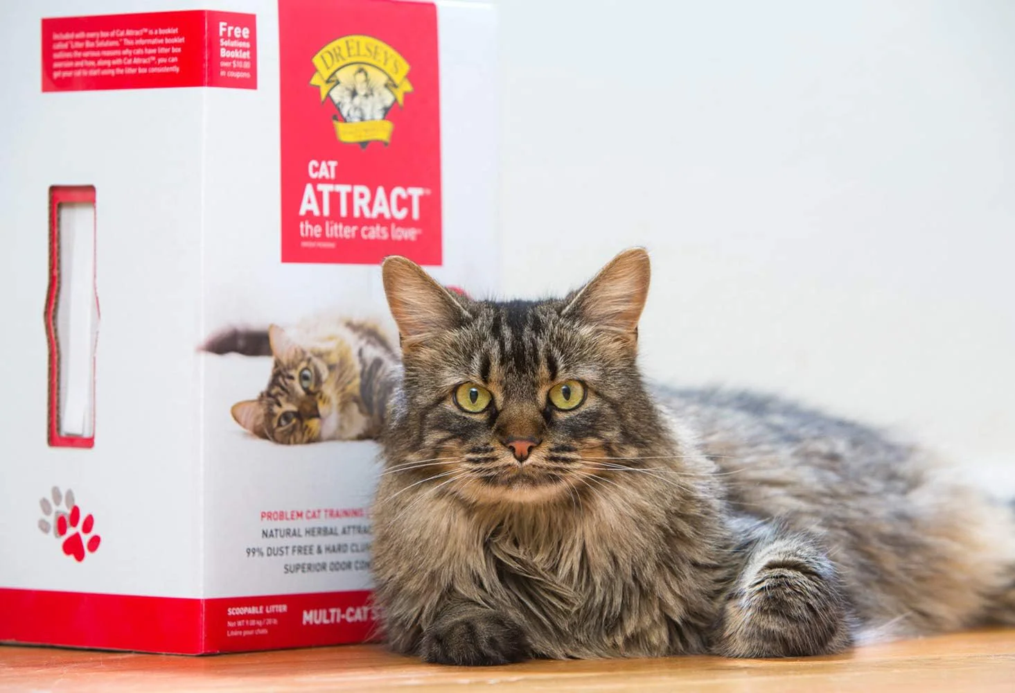 Dr. Elsey's Precious Cat Attract Problem Cat Training Litter - Image 5