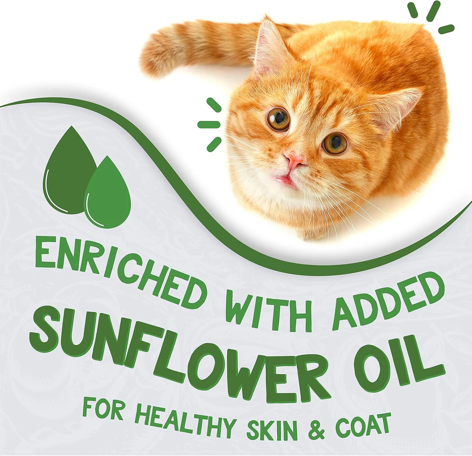 Earthborn Holistic Chicken Catcciatori Chicken Dinner in Gravy Grain-Free Moist Food for Adult Cats - Image 5