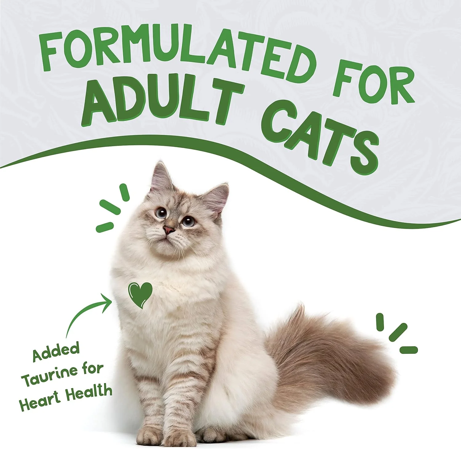 Earthborn Holistic Chicken Catcciatori Chicken Dinner in Gravy Grain-Free Moist Food for Adult Cats - Image 8