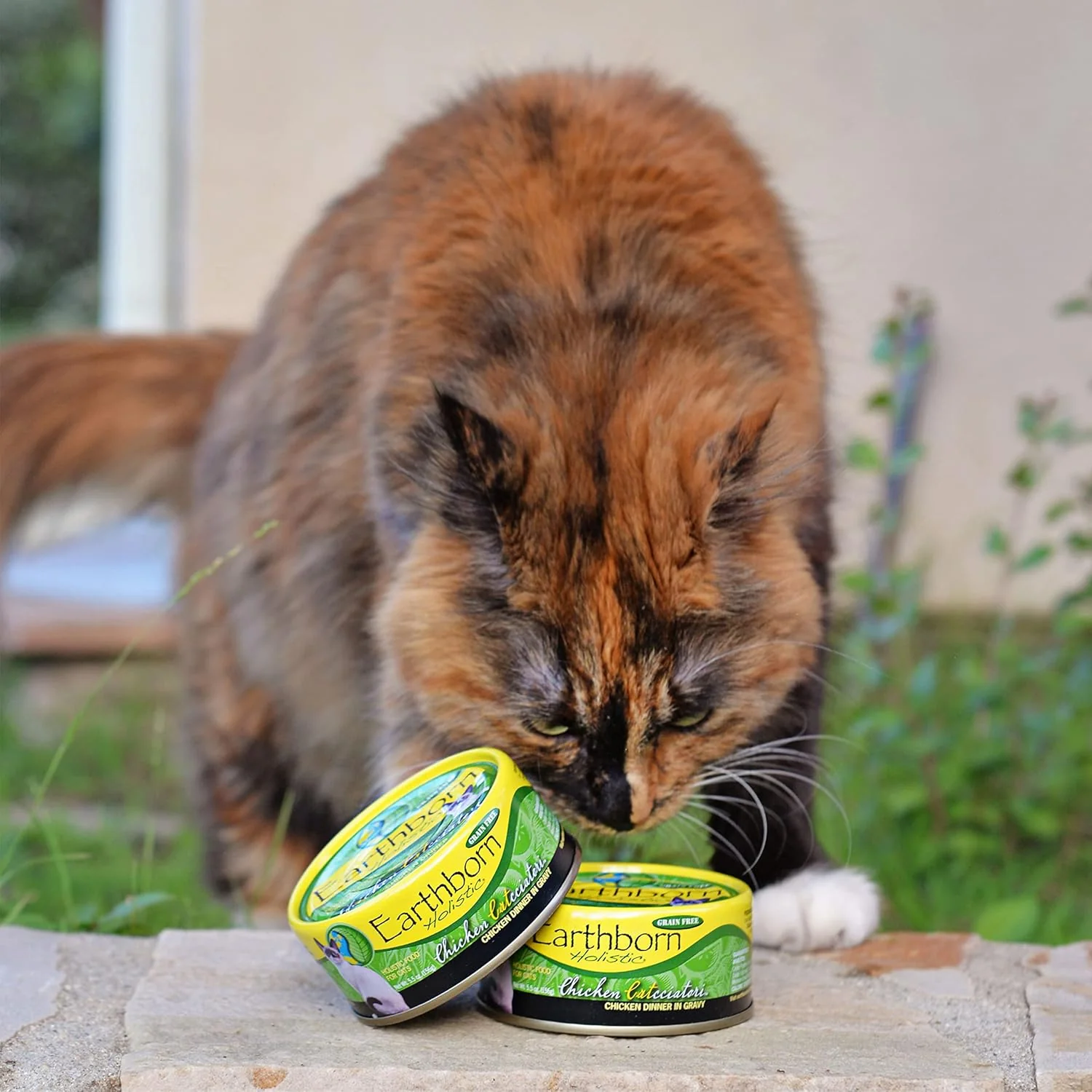 Earthborn Holistic Chicken Catcciatori Chicken Dinner in Gravy Grain-Free Moist Food for Adult Cats - Image 9
