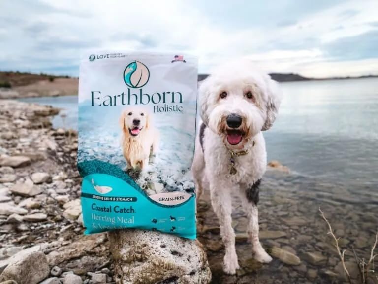 Earthborn Holistic Coastal Catch Herring Meal & Vegetables Grain-Free Sensitive Skin & Stomach Dry Food for Dogs and Puppies - Image 3