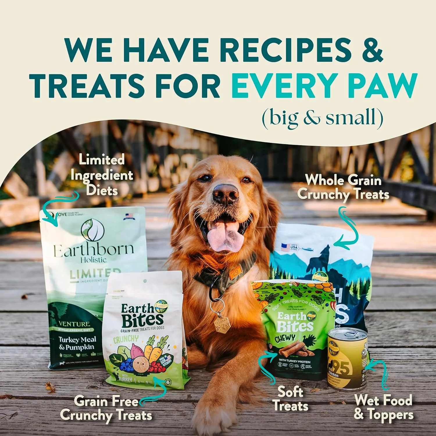 Earthborn Holistic Coastal Catch Herring Meal & Vegetables Grain-Free Sensitive Skin & Stomach Dry Food for Dogs and Puppies - Image 8