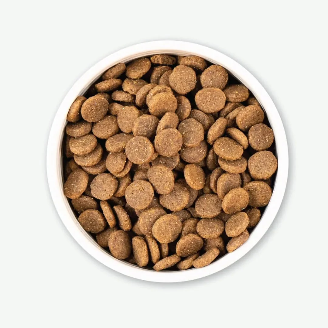 Earthborn Holistic Great Plains Feast with Bison and Beef Meal Grain and Gluten Free - Image 4
