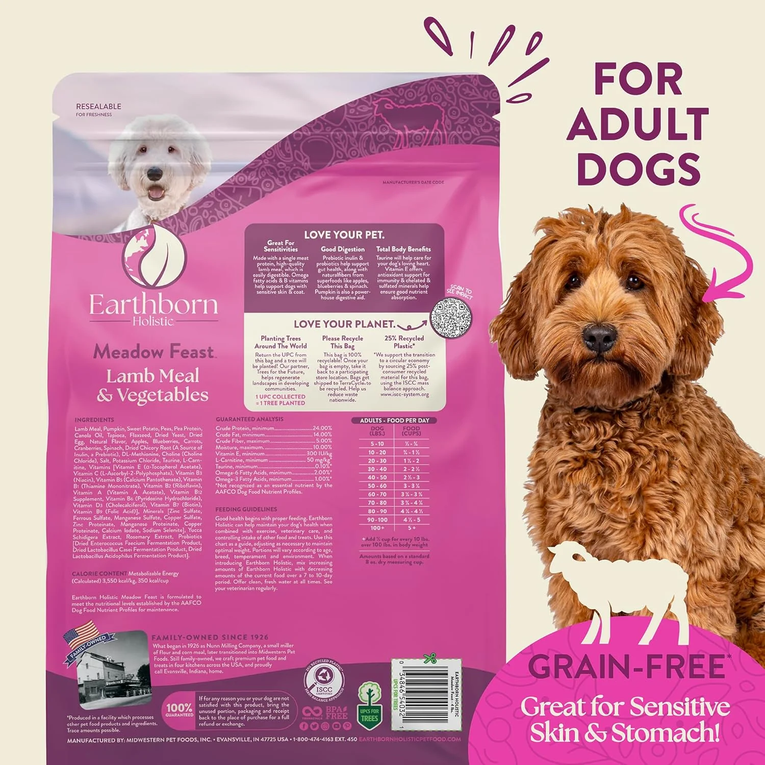 Earthborn Holistic Meadow Feast Lamb Meal & Vegetables Grain-Free Sensitive Skin & Stomach Dry Food for Adult Dogs - Image 3