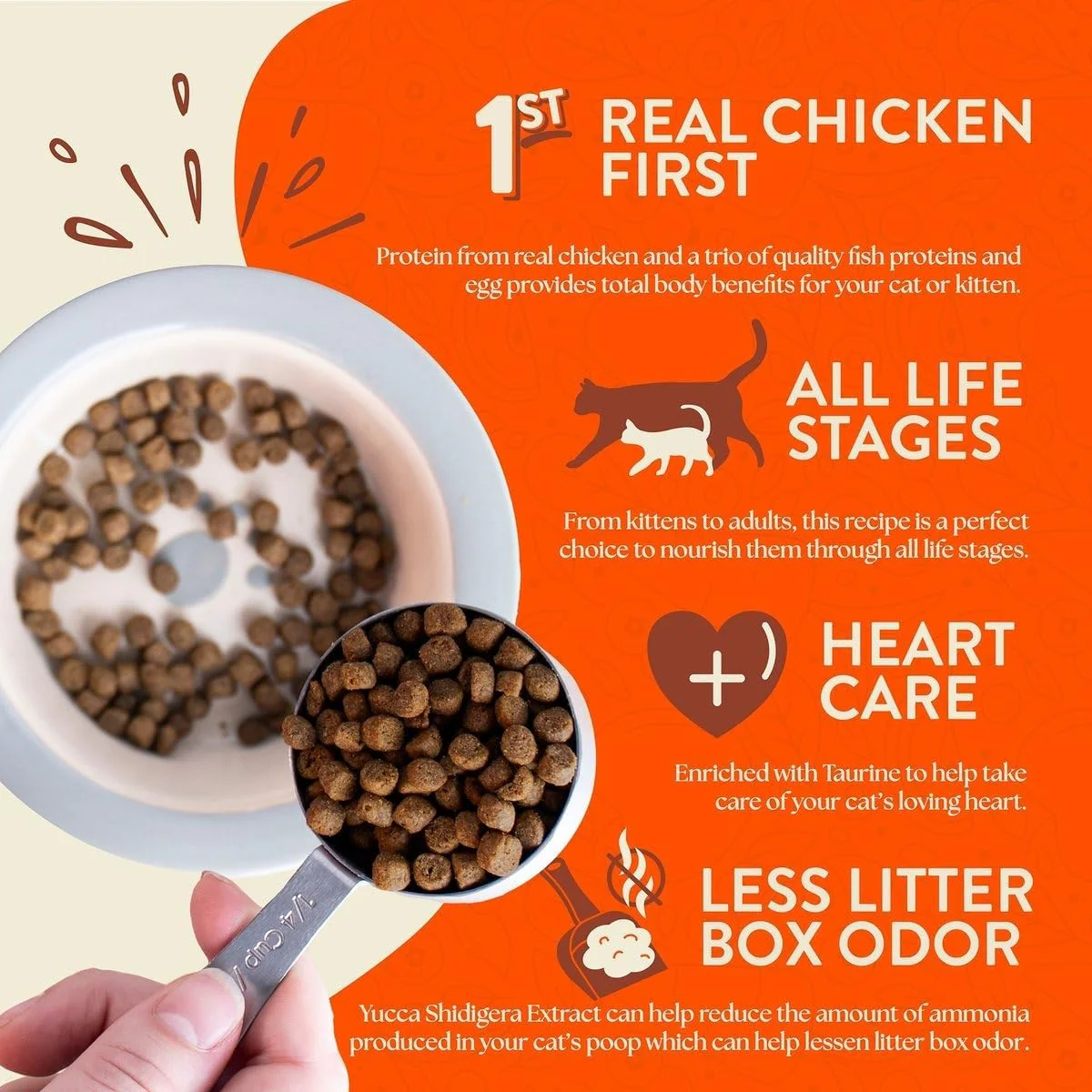 Earthborn Holistic Primitive Feline - Grain Free Dry Cat Food - Image 4