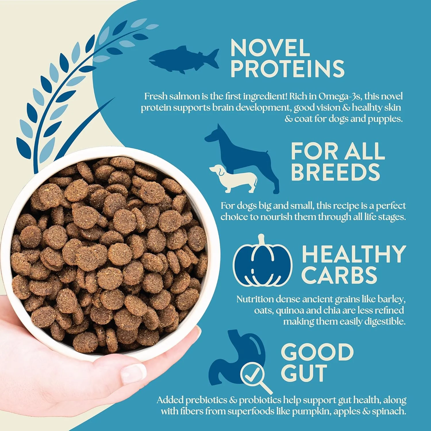 Earthborn Holistic Unrefined Smoked Salmon Recipe with Ancient Grains & Superfoods Dry Food for Dogs & Puppies - Image 4