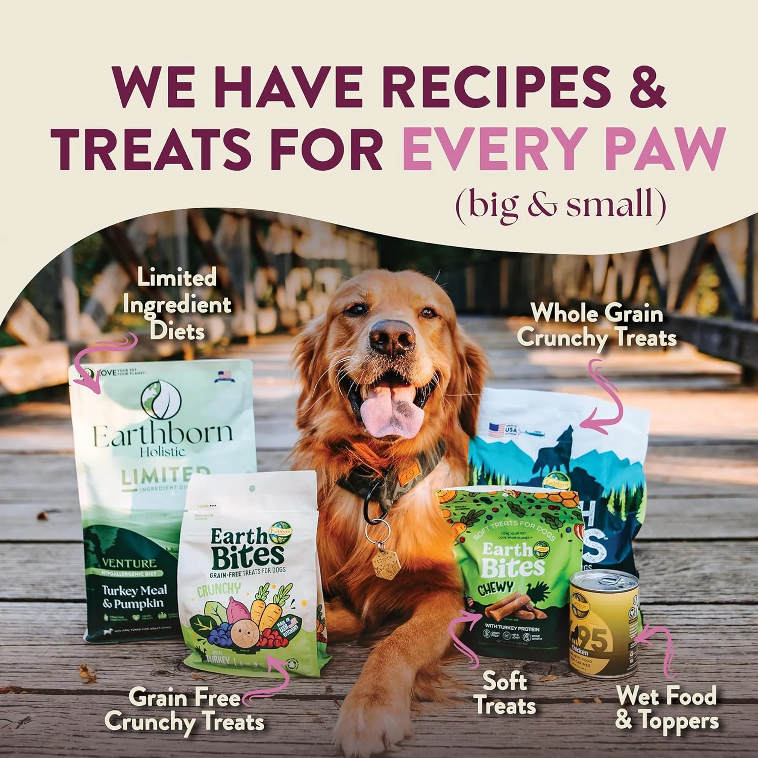 Earthborn Holistic Venture Rabbit Meal & Pumpkin Limited Ingredient Diet Grain-Free Dry Food for Dogs & Puppies - Image 7