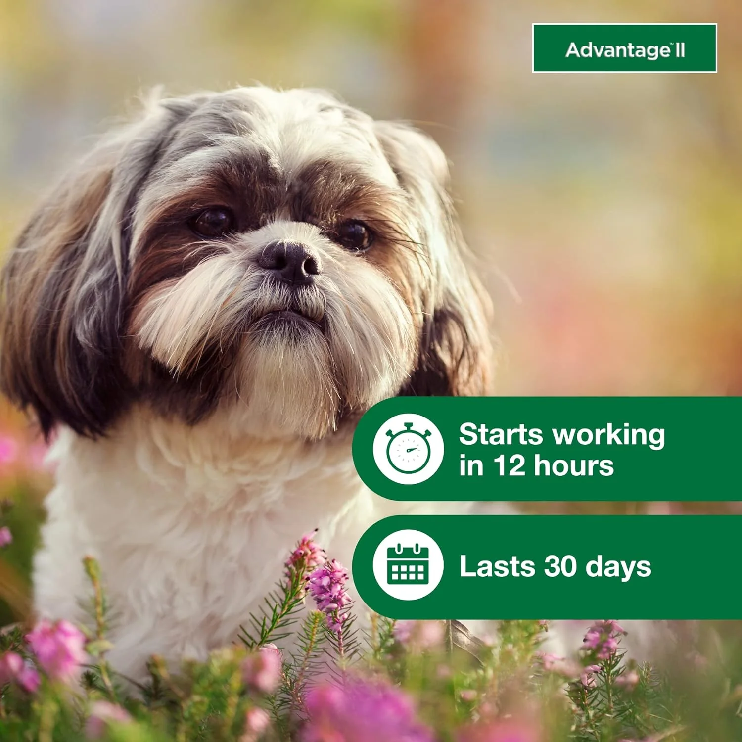 Elanco Advantage II Dog Vet-Recommended Flea Treatment & Prevention | 6-Month Supply - Image 6