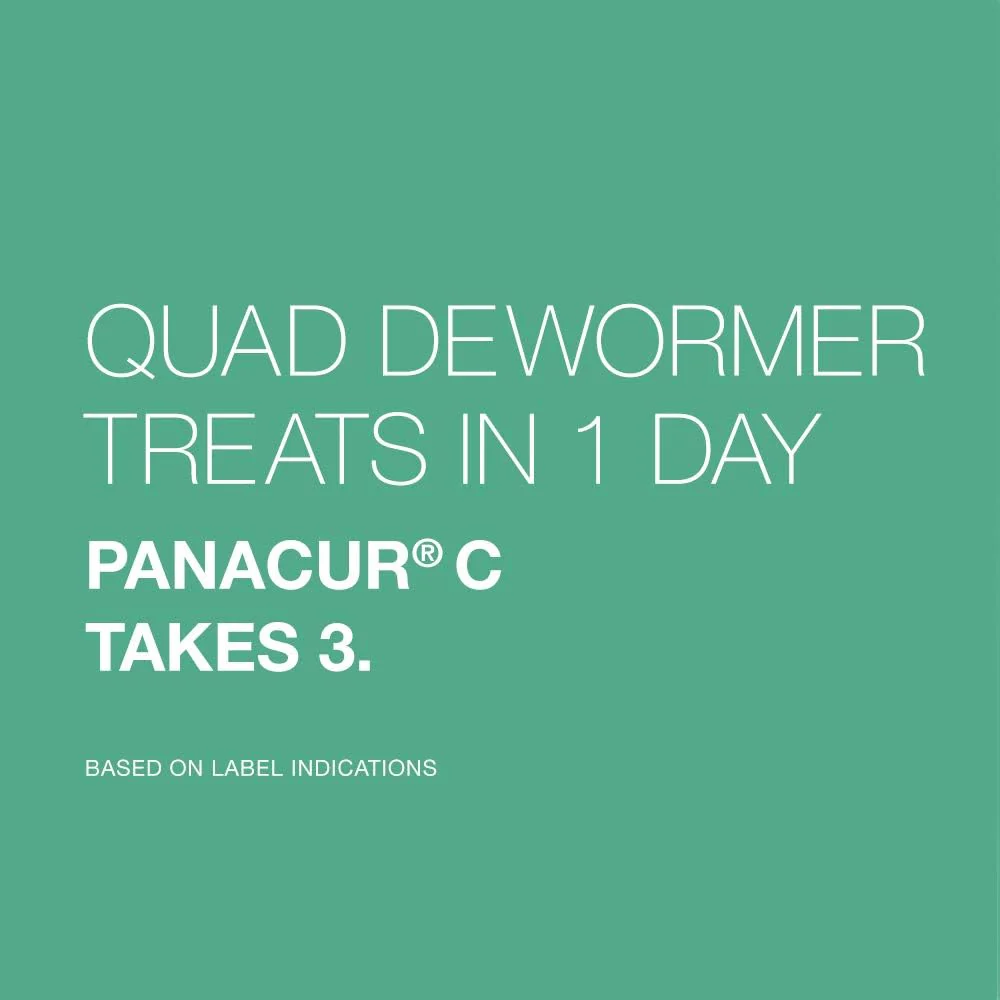 Elanco Chewable Quad Dewormer for Dogs, , 4 Chewable Tablets, White - Image 7