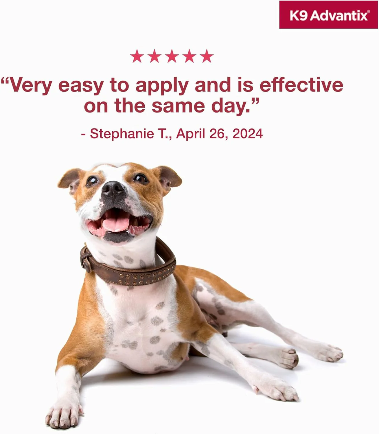 Elanco K9 Advantix™ for Large Dogs – 2 Monthly Doses - Image 8